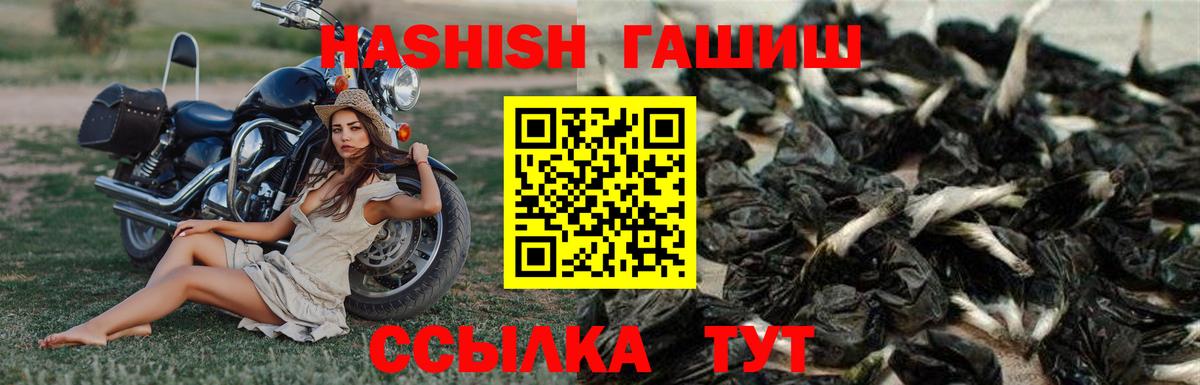 ГАШ VHQ Кудрово
