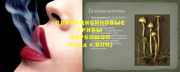 дмт Покровск