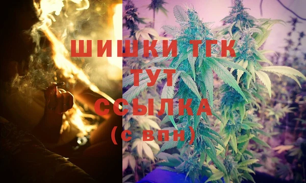 дживик Пересвет