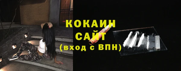 дживик Пересвет