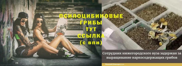 дмт Покровск