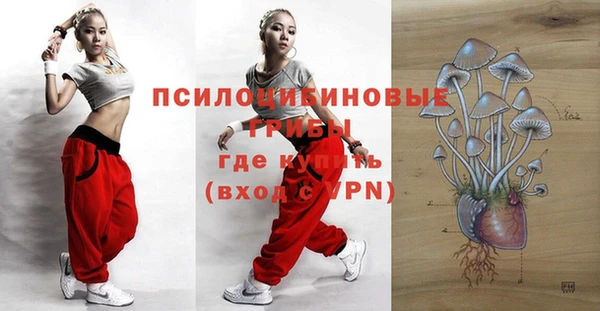 дживик Пересвет