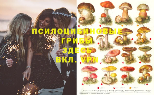 трава Покачи
