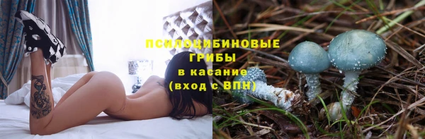 дживик Пересвет