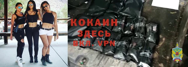 дживик Пересвет