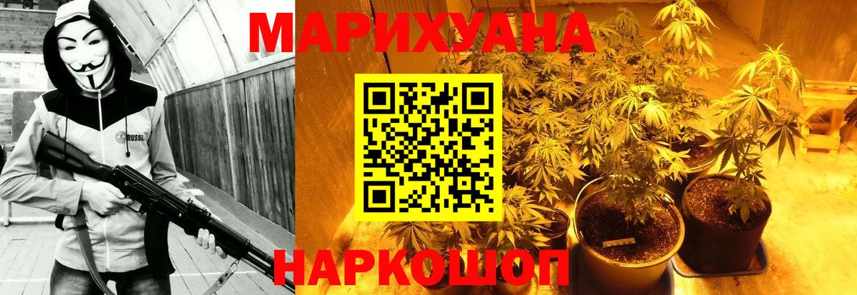 Конопля семена  Конопля LSD WEED  Вход с VPN  Кудрово  МАРИХУАНА White Widow 